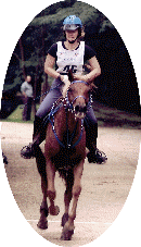 Filante**  (Toustem** et Quinine OI) 3&egrave;me CEI** 130kms N&eacute;ris les bains 2002