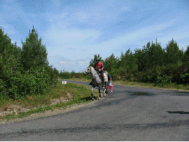 Animation Gif Diam's du moulin et  Hugo Kerneur