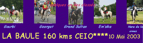 LA BAULE 160kms CEIO**** 10 Mai 2003 - Quelques un des class&eacute;s : Gourbi , Georgat ,  Grand Sultan , Em'sika , Hera de la Crouz.
