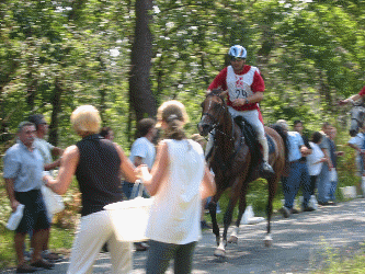 Animation Fidjane de cabirat