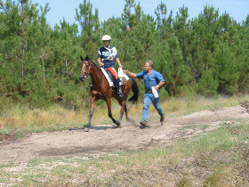 Animation Emeraude ballerine