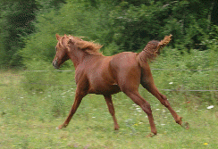 Animation Maskali &agrave; 2 ans