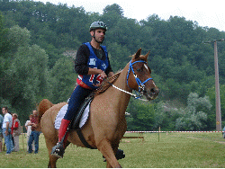 Parlez moi d'amour et Pierre Baze repartent du 2&egrave;me Vetgate.(animation Gif, chargement en cours)