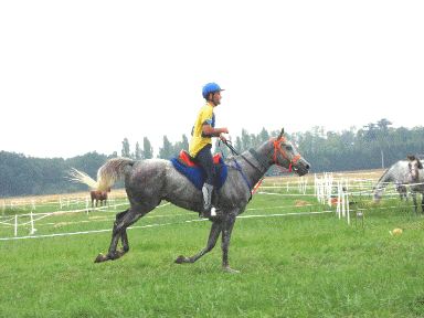 Arriv&eacute;e du 2&egrave;me class&eacute;, KIN ( ESP), Animation Gif