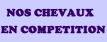 Nos chevaux en comp&eacute;tition