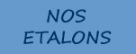 Nos �talons Our stallions