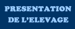 Pr&eacute;sentation de l'&eacute;levage Coutillas'studfarm