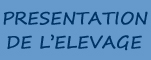 Pr�sentation de l'�levage Coutillas'stud farm