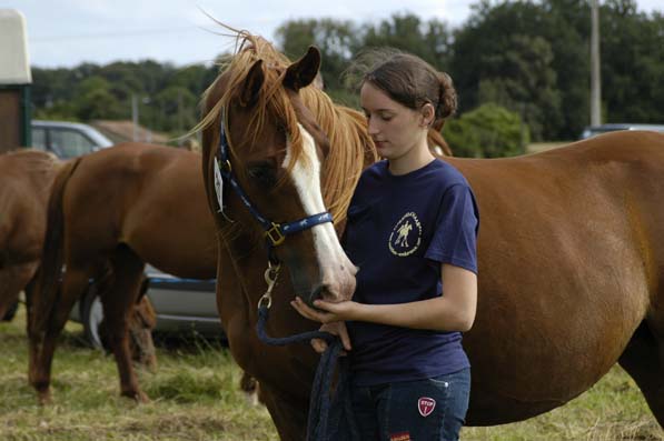 Thichka poulini&egrave;res non suit&eacute;es 