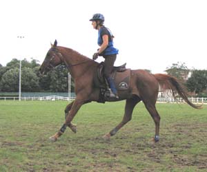 Naya du coutillas** 13&deg; Championnat de France 130km Montlu&ccedil;on 09