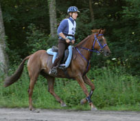 Piouna du coutillas (Kanda'haar*** et Filante*** / Toustem***) Ire 123 class�e CEI*, ** et *** !