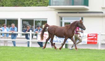 Controle initial Kanda 'haar et Nicolas Blot